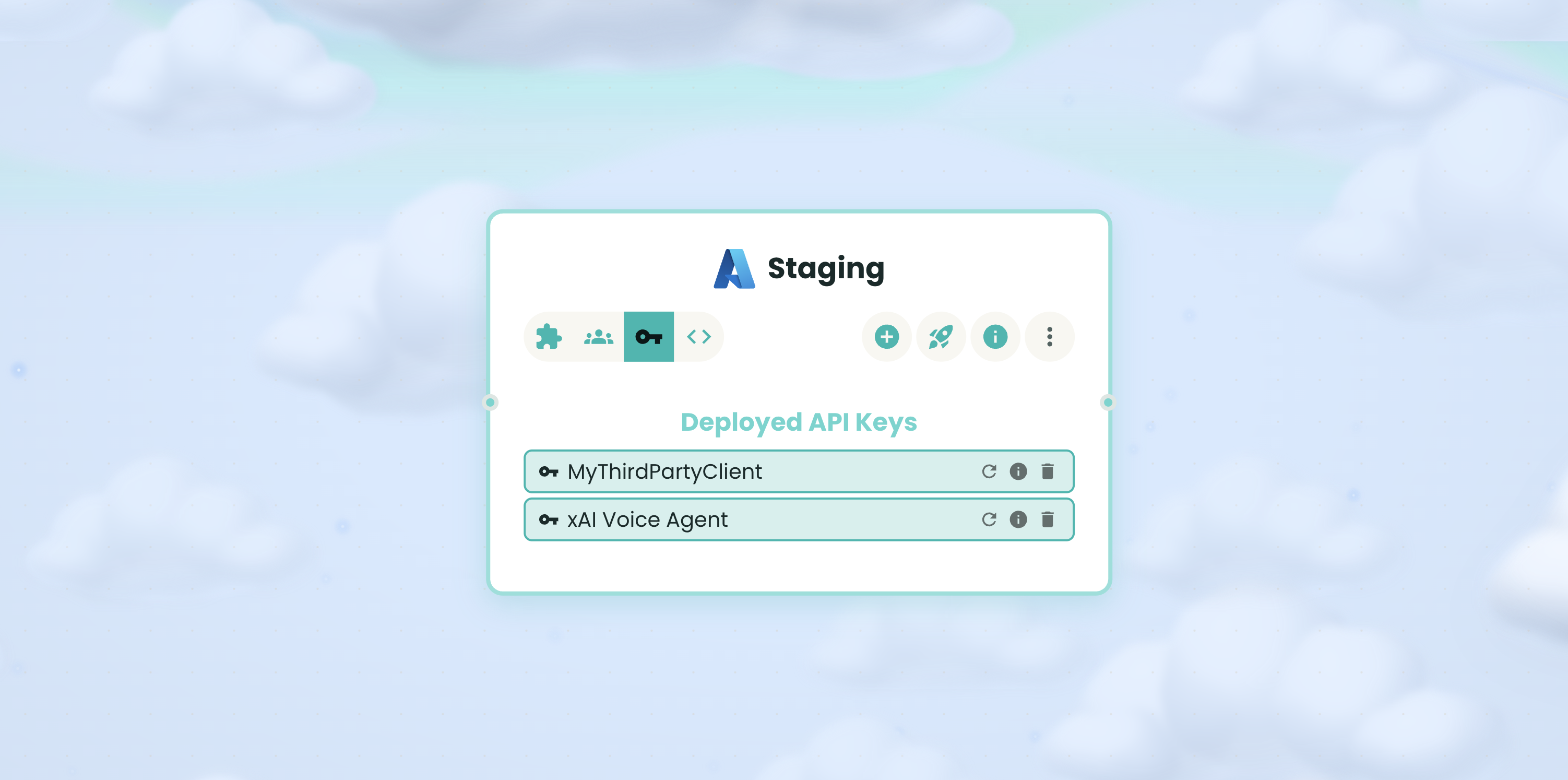API keys screen showing secured access credentials for service integrations.